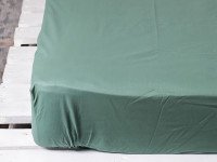Простирадло на резинці 160x200 Ecotton Поплін Зелений 488
