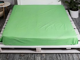 Простынь на резинке 180x200 Ecotton Rainforce Summer Green 00-0361
