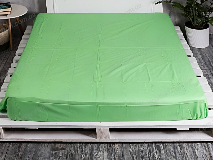 Простирадло на резинці 200x200 Ecotton Rainforce Summer Green 00-0361