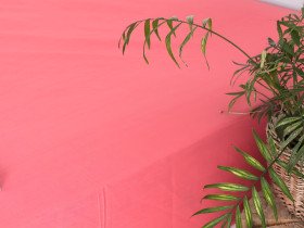 Простирадло на резинці 200x200 Ecotton Rainforce Sweet Coral 00-0359