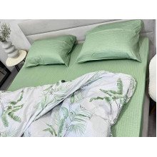 Euro 220x240 Ecotton Satin Bed Sheet 21006
