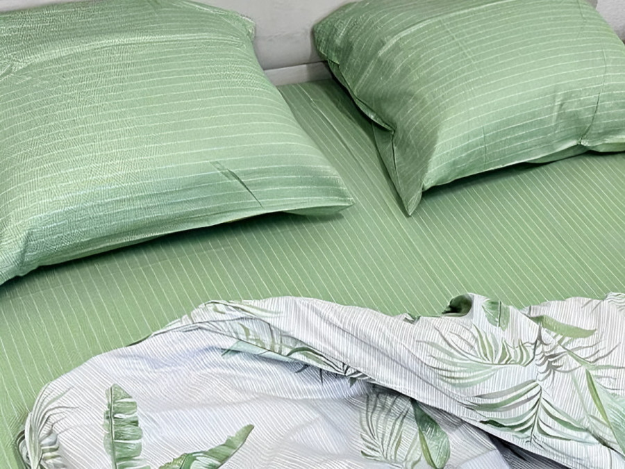 Euro 220x240 Ecotton Satin Bed Sheet 21006